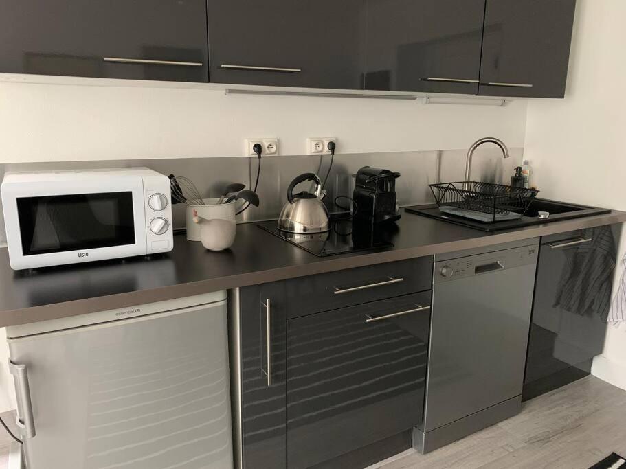 Joli T2 Jardin Parking Proche Gare Centre Ville Dijon Ngoại thất bức ảnh